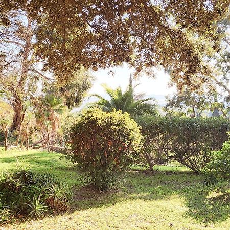 La Suite Costabella A Hyeres-Les-Palmiers Exterior foto