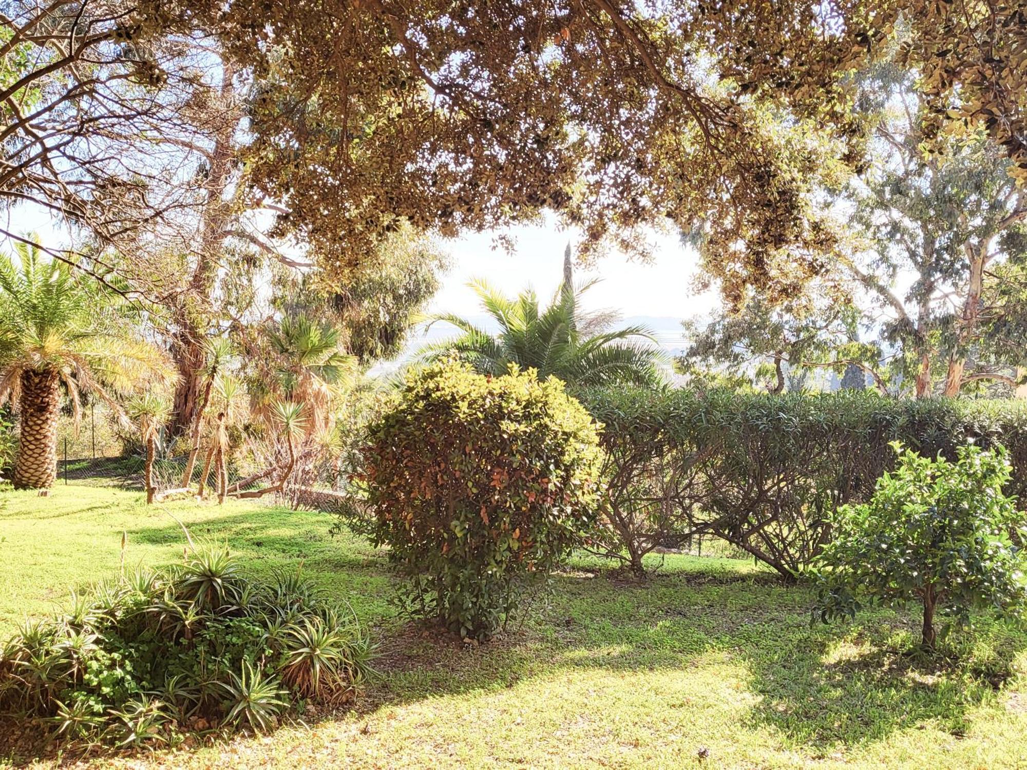 La Suite Costabella A Hyeres-Les-Palmiers Exterior foto